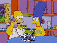 homer simpson GIF