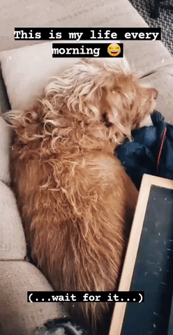 feelgoodsocial giphygifmaker GIF