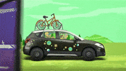 car GIF by Suzuki