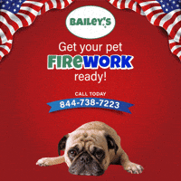 Orange County California GIF by Bailey's CBD