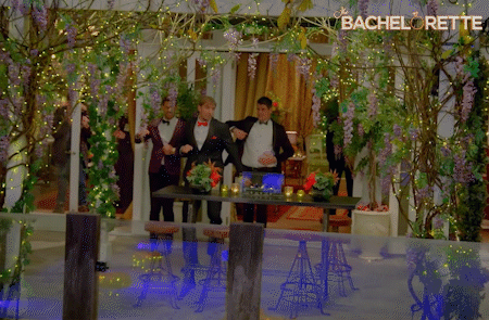 bachelor love GIF by The Bachelorette Australia