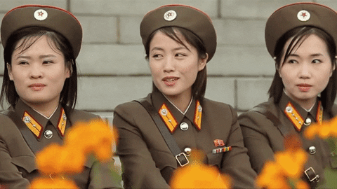 steggo giphyupload GIF