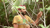 survivorau GIF by Australian Survivor