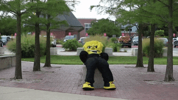 Wu_Shock tired relax wu wsu GIF