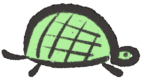 Turtle Tortoise Sticker