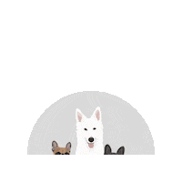 Dog Shepherd Sticker by LOVIN'DOG