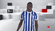 Hertha Bsc Hello GIF by Bundesliga