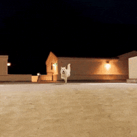 See You Soon Happy Dance GIF