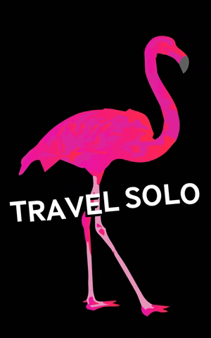 sologirlstravelguide giphygifmaker girl pink travel GIF