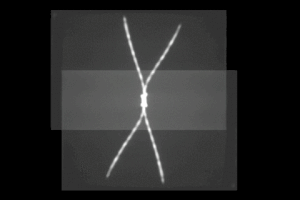 video art analog GIF by J. Robinson