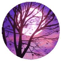 Good Night Sticker