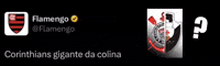 Vasco Da Gama Corinthians GIF