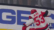 Happy Stanley Cup GIF by NHL