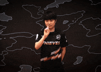 I Dont Think So No Way GIF by 100 Thieves