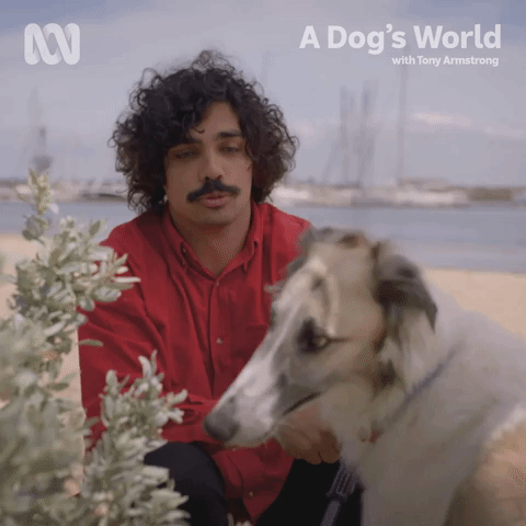 A Dog's World with Tony Armstrong | Hello