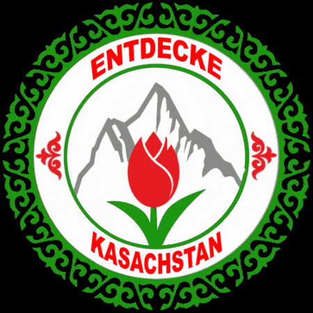 GIF by Info Shymkent