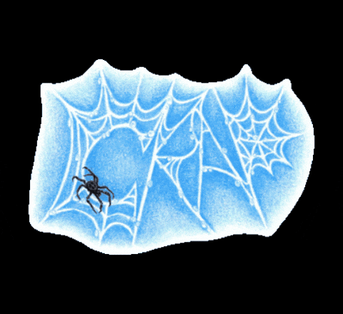 Crapeyewearspiderweb GIF by CRAP Eyewear