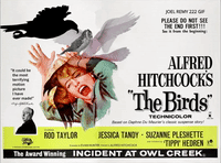 BIRDS Hitchcock clip .mp4