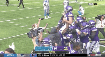 Minnesota Vikings Football GIF by NFL