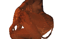 La Luz Myke Towers Sticker by Thalia