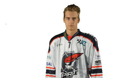 Hokej Pirati Sticker by Piráti Chomutov