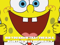 season 6 penny foolish GIF by SpongeBob SquarePants