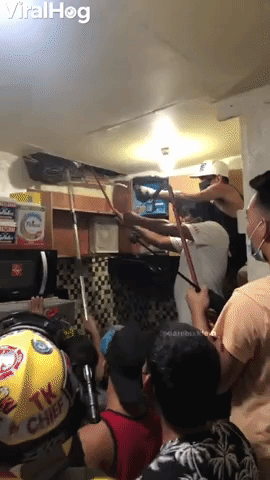 Huge Snake Extracted From Ceiling