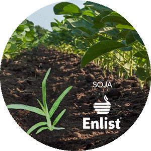 Soja Produtividade Sticker by Corteva Brasil