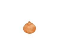 lisachiuqq food illustration vegetable onion Sticker