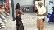 Bbnaija GIF by Big Brother Naija