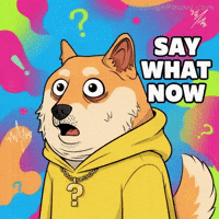 Dog What GIF by Doge Pound