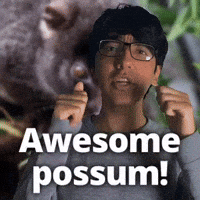 Awesome possum!