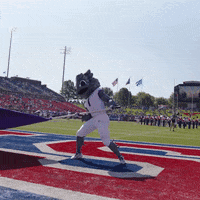 Tcu Horned Frogs Flag GIF by TCU Football
