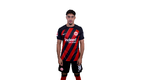Link Swipe Up Sticker by Eintracht Frankfurt