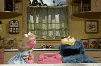 cookie monster GIF by Sesame Street