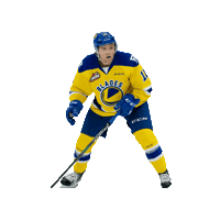 Hockey Robbie Sticker by Saskatchewan Rush