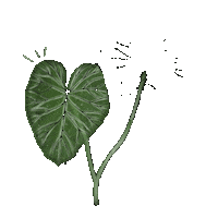 Drawdrillman love heart nature plants Sticker
