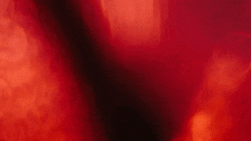 Neonrated GIF by NEON