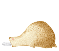 sad bird Sticker by BigBearAndBird