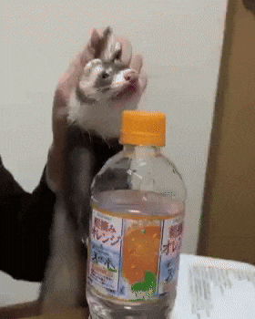 Angry Push GIF by Respective