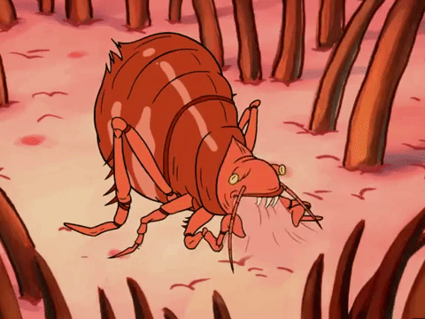 season 5 episode 10 GIF by SpongeBob SquarePants