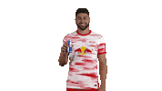 Red Bull Football Sticker by RB Leipzig