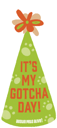 Cat Dog Sticker by Merrick Pet Care