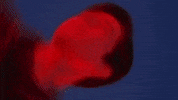 Waste My Time GIF by Spencer Barnett