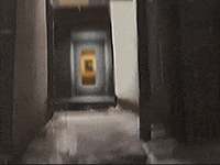 Footage Oaf GIF by jorgemariozuleta