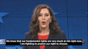 Team Vote GIF by Gretchen Whitmer