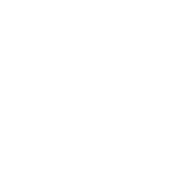 rohstofforganic vegan bio ginger pur Sticker