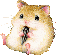 Mouse Eating Sticker
