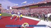 Los Angeles Rams Football GIF by NFL