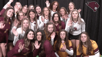 Volleyball GIF by CUCougars